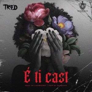 Trod-–-E-Ti-Cast