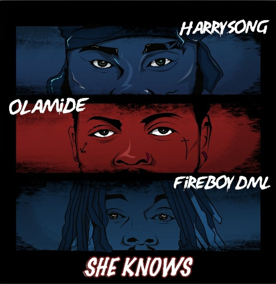 harrysong-ft-olamide-fireboy-dml-–-she-knows