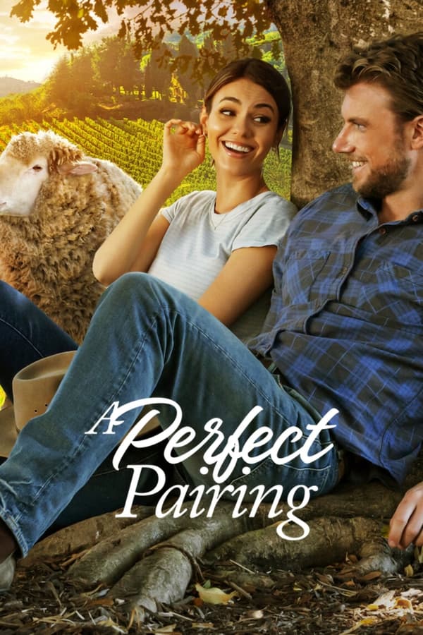 a-perfect-pairing-hollywood-movie