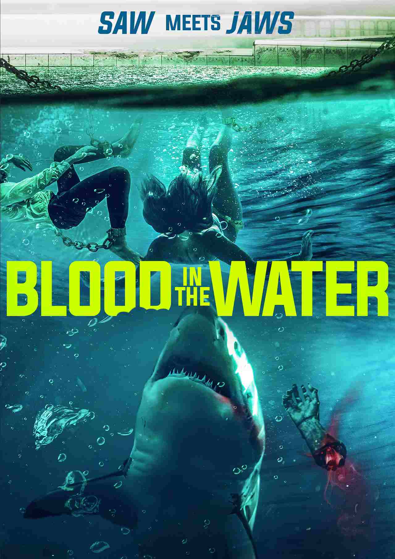 Blood in the Water (2022)_11zon