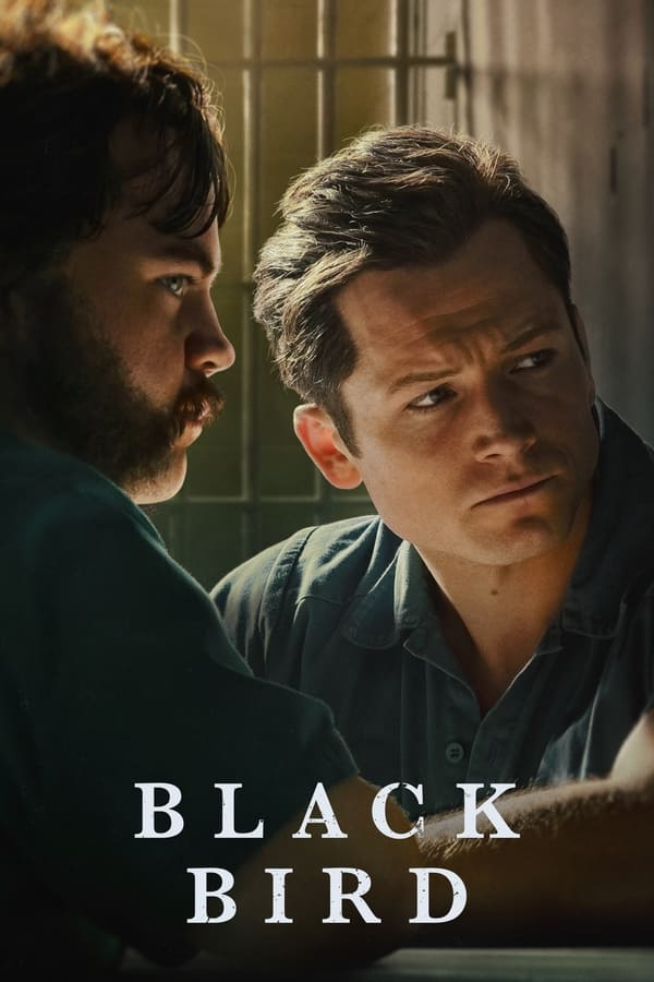 black-bird-hollywood-series