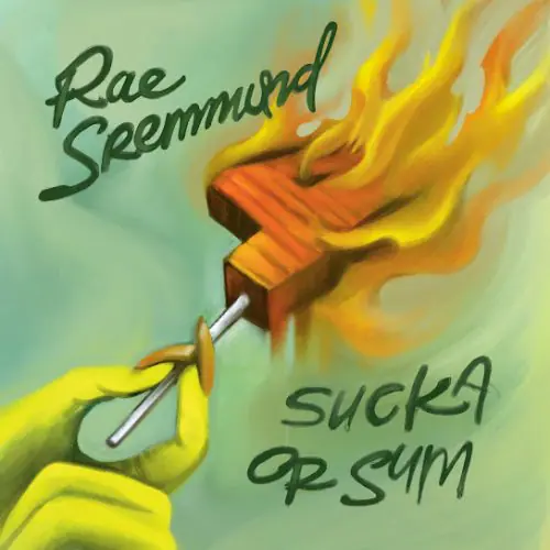 Rae-Sremmurd-Sucka-Or-Sum.jpg